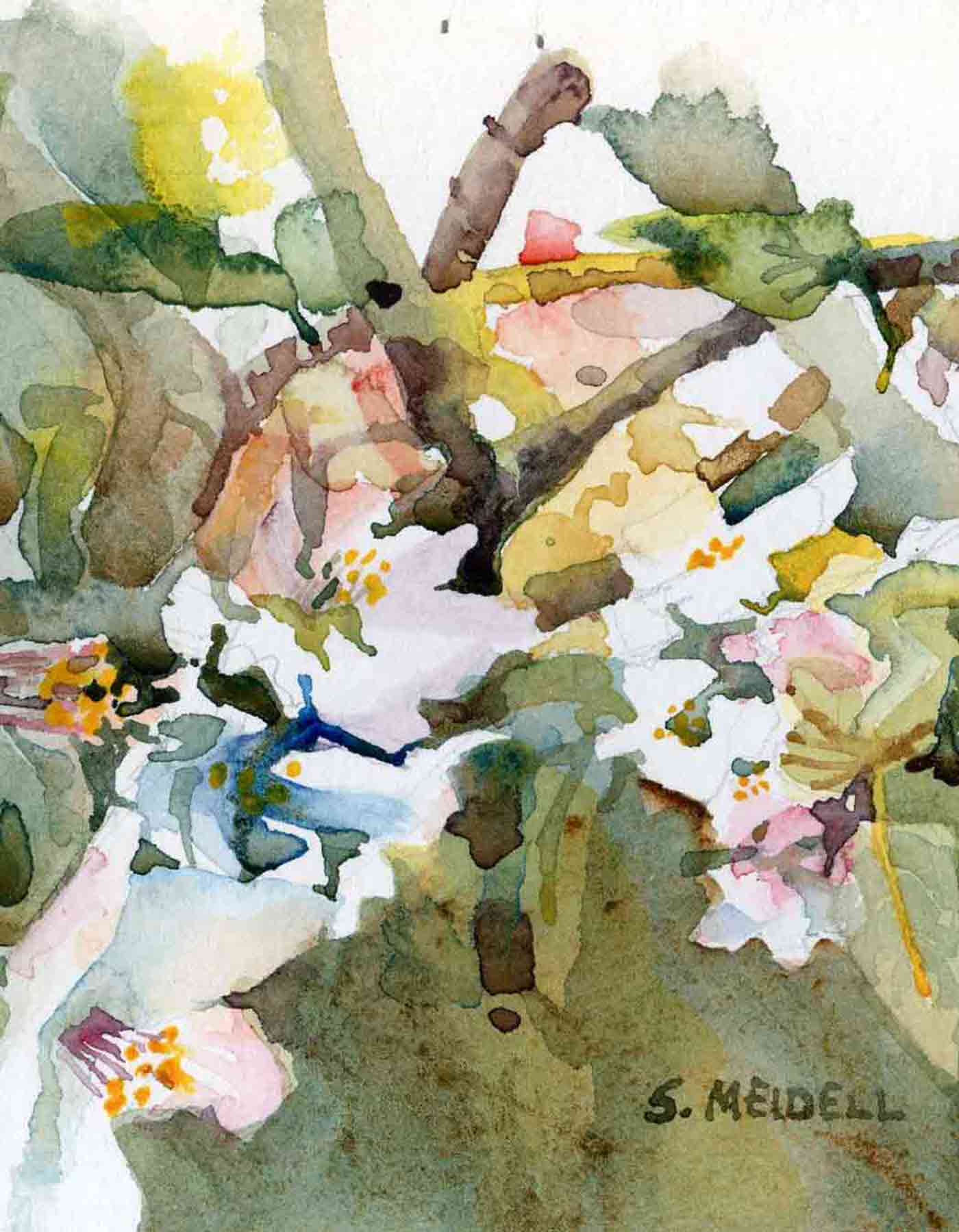 Apple Blossum 8"x10" watercolor (sold)